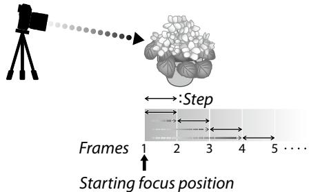 FUJIAPN HYBRIDEX-1T5 - Focus and FRAMES/STEP - 1