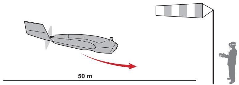 50 m