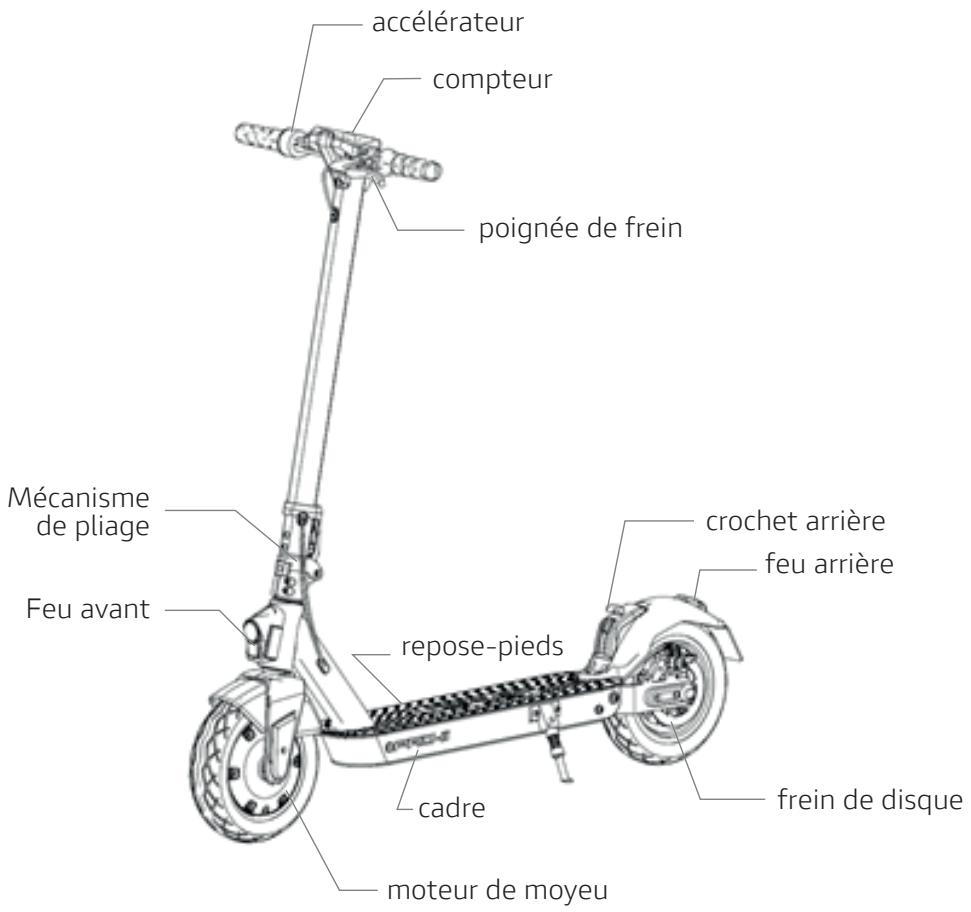 DUCATI NC - Diagramme du produit - 1