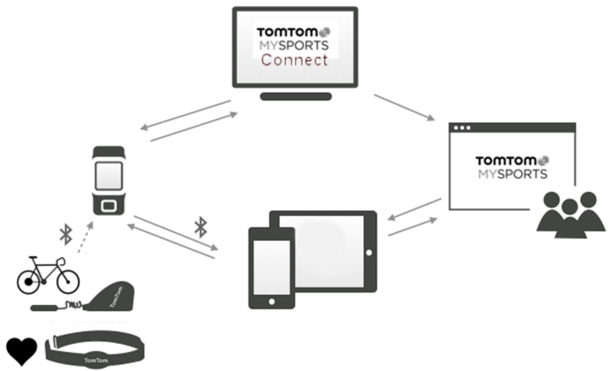TOMTOM SPARK 3 LARGE BR - Compte tomtom mysports - 1