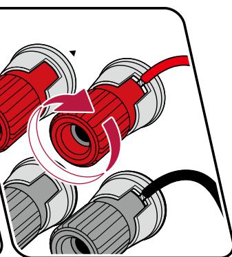 PIONEER VSX-LX504AV - Raccorder les cables d'enceintes - 4