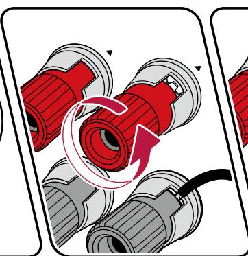 PIONEER VSX-LX504AV - Raccorder les cables d'enceintes - 2