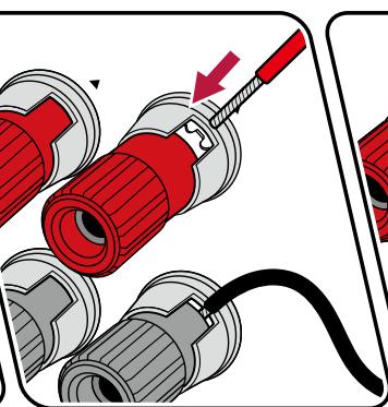 PIONEER VSX-LX504AV - Raccorder les cables d'enceintes - 3
