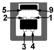 DELL AW2518H - Connecteur USB en avant - 1