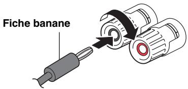 YAMAHA R-N803D - Raccordement avec fiche banane (modèles pour l'Amérique du Nord, l'Australie et modèle général uniquement) - 1