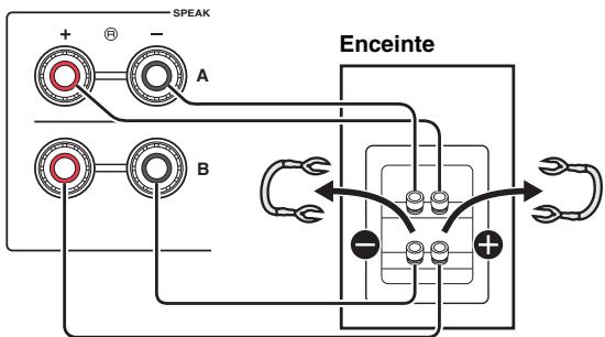 YAMAHA R-N803D - Connexion bifilaire - 1