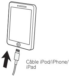 PIONEER N-P01S - Connexion d'un ipod/iphone/ipad à l'aide du support fourni - 1
