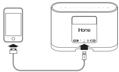 IHOMEREFERENCE IW1 - Mode audio local d'iPod - 1