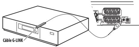 PIONEER DVR-LX60D - Branchez le cable G-LINK™ fourni sur la prise G-LINK™. - 1