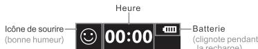 DUAL RiWi Watch DL MOns00 - 3.1【Interface】 - 1