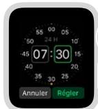 APPLE WATCH MODERNE 38 ACiER NOIRE - Régler des réveils - 3