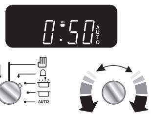 FALCON KCH100DFSS/C-EU - François - 2