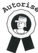 SCHOLTES MWI241AN - RECOMMANDATIONS IMPORTANTES DE SECURITE - 2