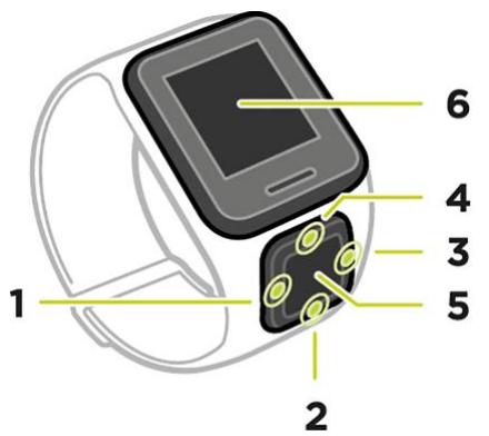 TOMTOM SPARKMU+LARGE NOIR - À propos de votre montre - 1