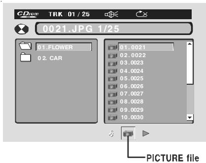 PROLINE DVD P1010W - Lecture d'un disque de photos - 1