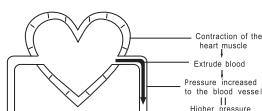 THOMSON CARDIO A9 TU80S - Pression arterielle systolique - 1
