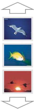 PACKARD BELL EASY DVD RECORDER - DVD - 2