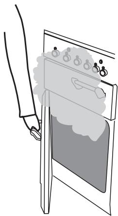 FALCON EXL 110 DFSS/C-EU INOX - Four gauche et four droit - 1