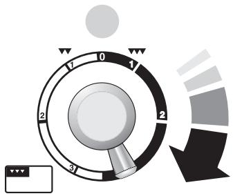FALCON EXL 110 DFSS/C-EU INOX - Utilisation du grill - 2