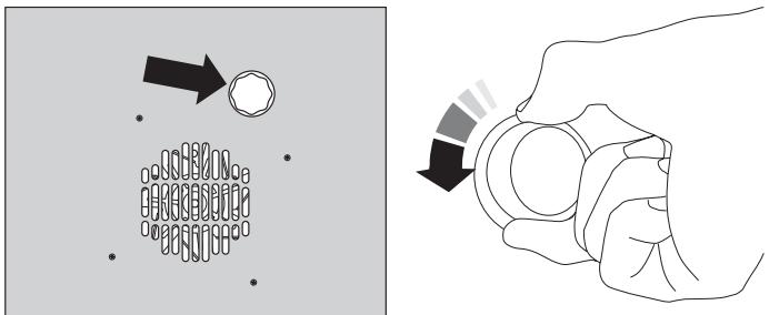 FALCON EXL 110 DFSS/C-EU INOX - Remplacement de l'ampoule d'éclairage de four - 1