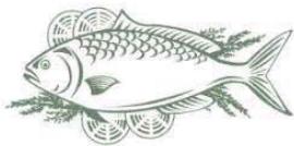 DARTY TTR109 - Poissons et fruits de mer - 1