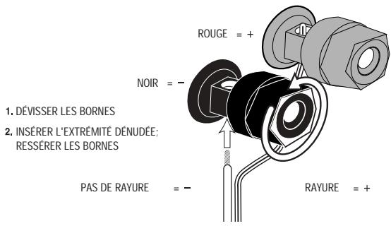 INFINITY BETA SW-10 BEECH - CONNEXIONS DU SYSTÉME - 4