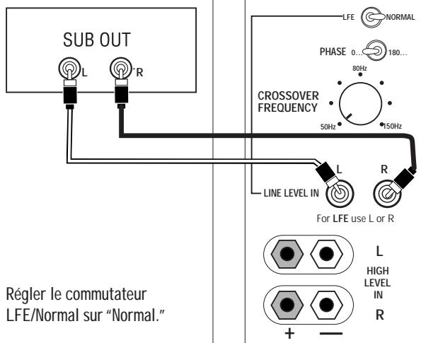 INFINITY BETA SW-10 BEECH - CONNEXIONS DU SYSTÉME - 2