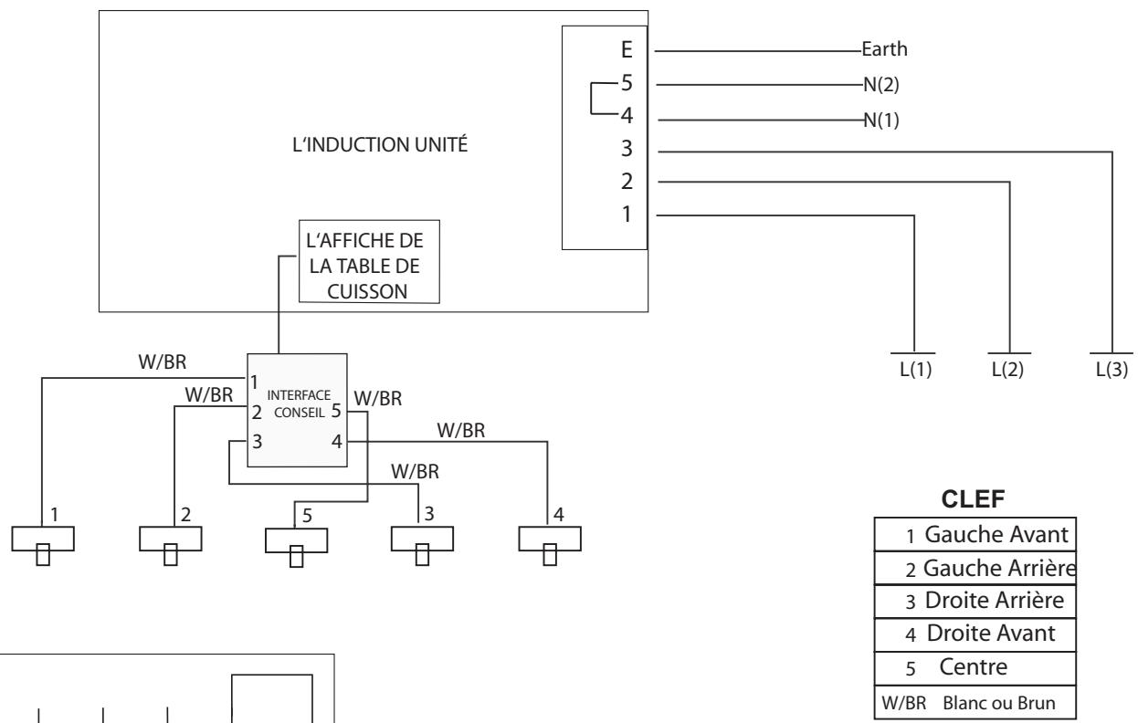 FALCON FCON1092 - Estimations - 1