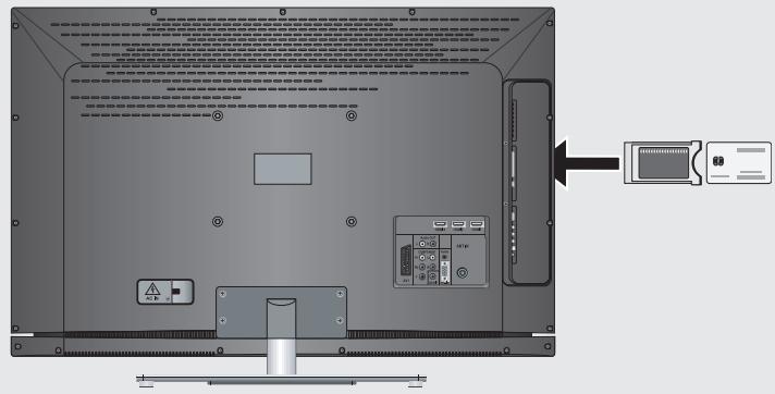 GRUNDIG 40VLE8040C - FONCTIONNEMENT AVEC L'INTERFACE COMMUNE - 1