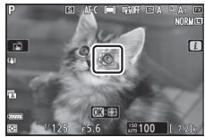NIKON Z5+24-50MM+FTZ - Mise au point sur les visages ou les yeux des animaux (AF détention des yeux/visages des animaux) - 2