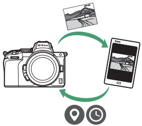 NIKON Z5+24-50MM+FTZ - Options du réseau - 2