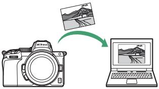 NIKON Z5+24-50MM+FTZ - Options du réseau - 1