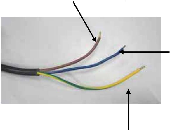 PROLINE CNE 6X/1cob - BRANCHEMENT ÉLECTRIQUE - 1