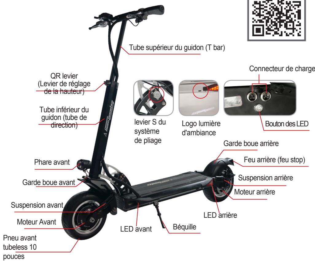 MINIMOTOR STROTTINETTESPEEDWAY5BLACK - Chàssis - 1
