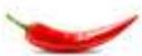 MAGIMIX COOK XL - BLANQUETTE DEVEAU XL - 12