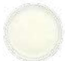 MAGIMIX COOK XL - BLANQUETTE DEVEAU XL - 13