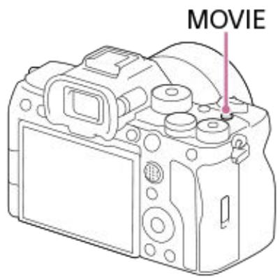 SONY alpha7siii - Appuyez sur le bouton MOVIE (Film) pour commencer l'enregistrement. - 1