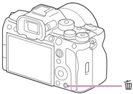 SONY alpha7siii - Utilisation du bouton Supprimer - 1