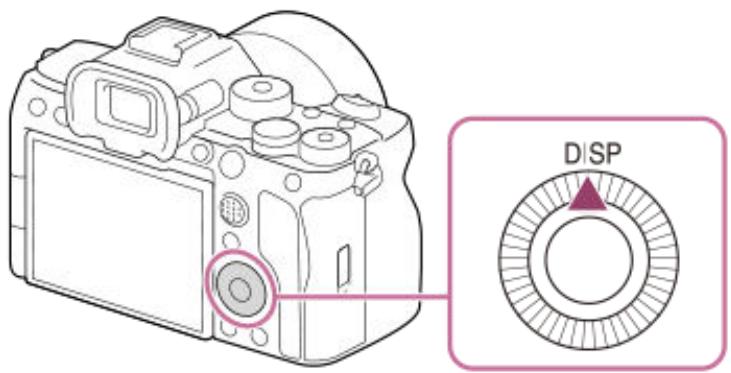 SONY alpha7siii - Utilisation du bouton DISP (réglage de l'affichage) - 1