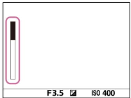 SONY alpha7siii - Aff. pdv restantes (image fixe) - 2