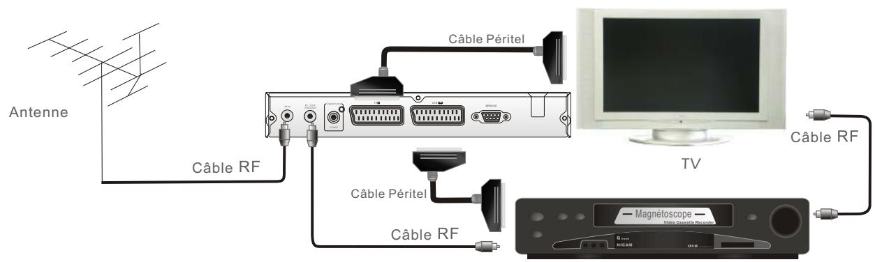 PROLINE DFV 14S - Connector à un magnétoscope avec le cable PERITEL - 1