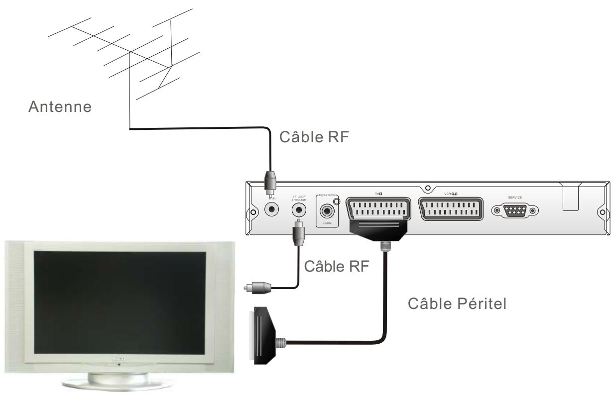 PROLINE DFV 14S - Connector à la TV avec le cable PERITEL - 1