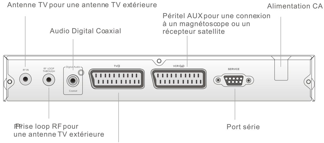 PROLINE DFV 14S - Panneau arrête - 1
