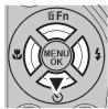 FUJIFILM FINEPIX HS50 EXR - Flashes optionnels - 1