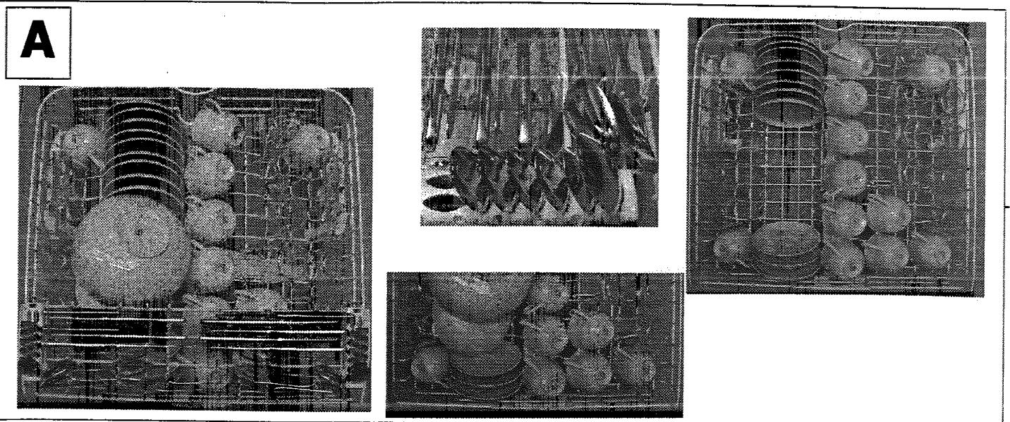 VEDETTE VLA 734 - Indications pour laboratoire d'essais - 1