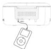 PROLINE CRCD 1450 - Note Importante : - 1