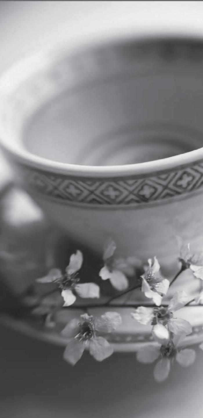 RIVIERA BBT 380 - garantie - 2