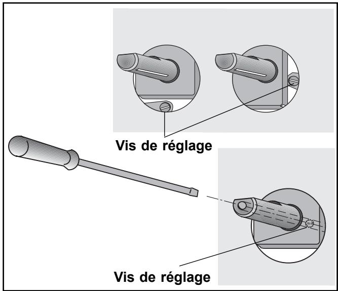 FAURE CPG 701 - Alimentation en gaz Butane ou Propane - 2