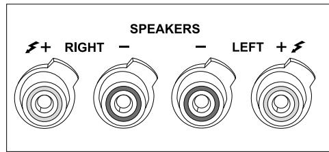 DYNAUDIO EMiT M10 SATIN BLACH - Connecting surround speakers - 1
