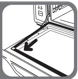 ROWENTA 0C373830 - 2.2·Démontage porte - 4